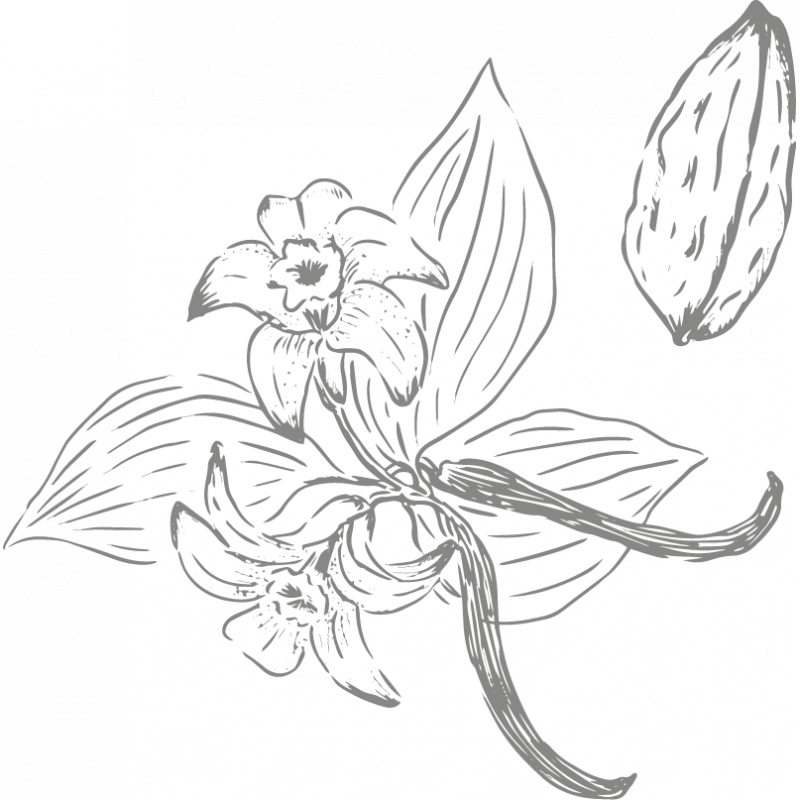 Berlingot Cocoa Tonka Vanilla