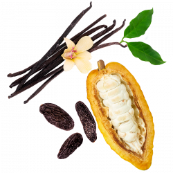 Berlingot Cocoa Tonka Vanilla