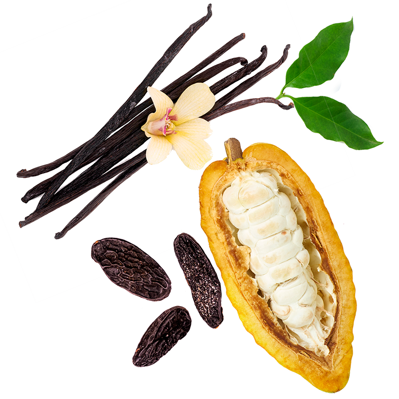 Berlingot Cacao Tonka Vanille