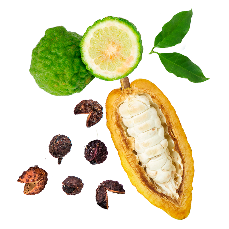 Berlingot Cacao Combava Timur