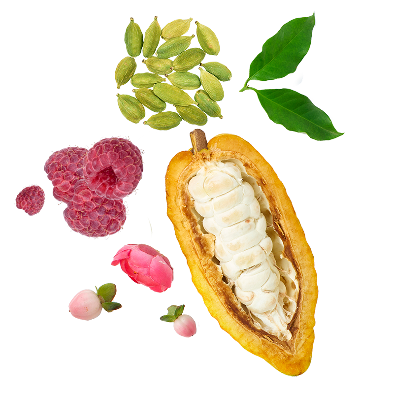Berlingot Cacao Framboise Rose Cardamome