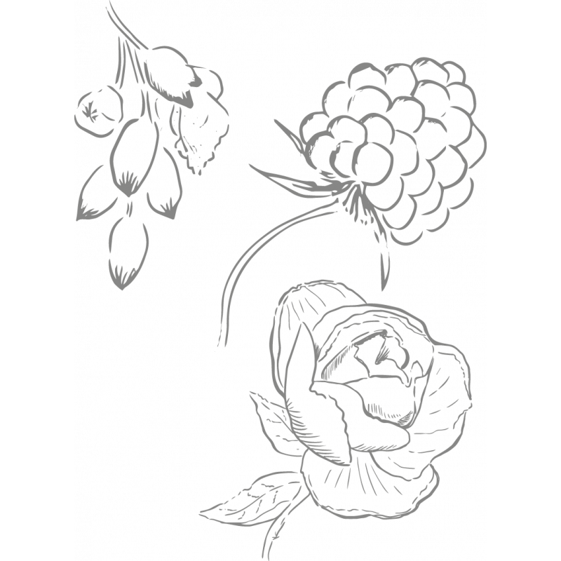 Berlingot Cocoa Raspberry Rose Cardamom