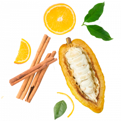Cocoa Berlingot Sweet Orange Ceylon Cinnamon