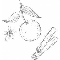 Cocoa Berlingot Sweet Orange Ceylon Cinnamon