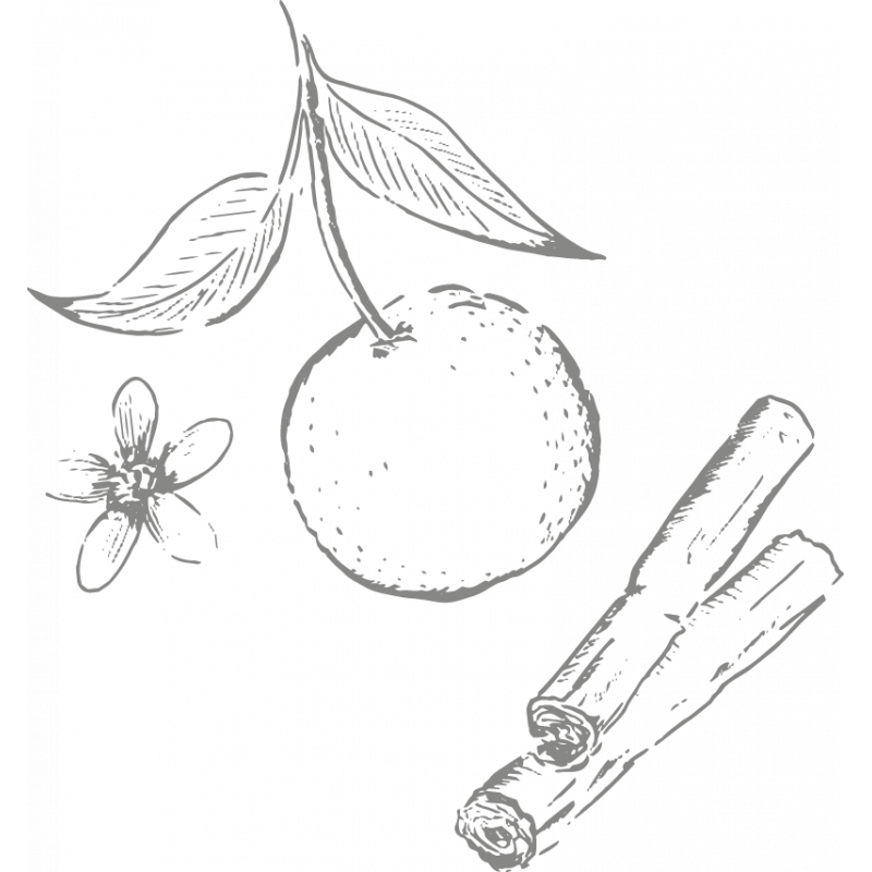 Cocoa Berlingot Sweet Orange Ceylon Cinnamon