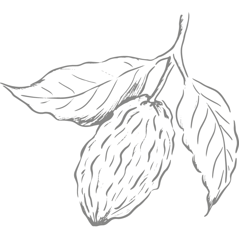 Berlingot Cocoa Grand Cru Plain