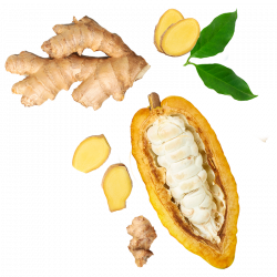 Berlingot Cocoa Ginger of Madagascar