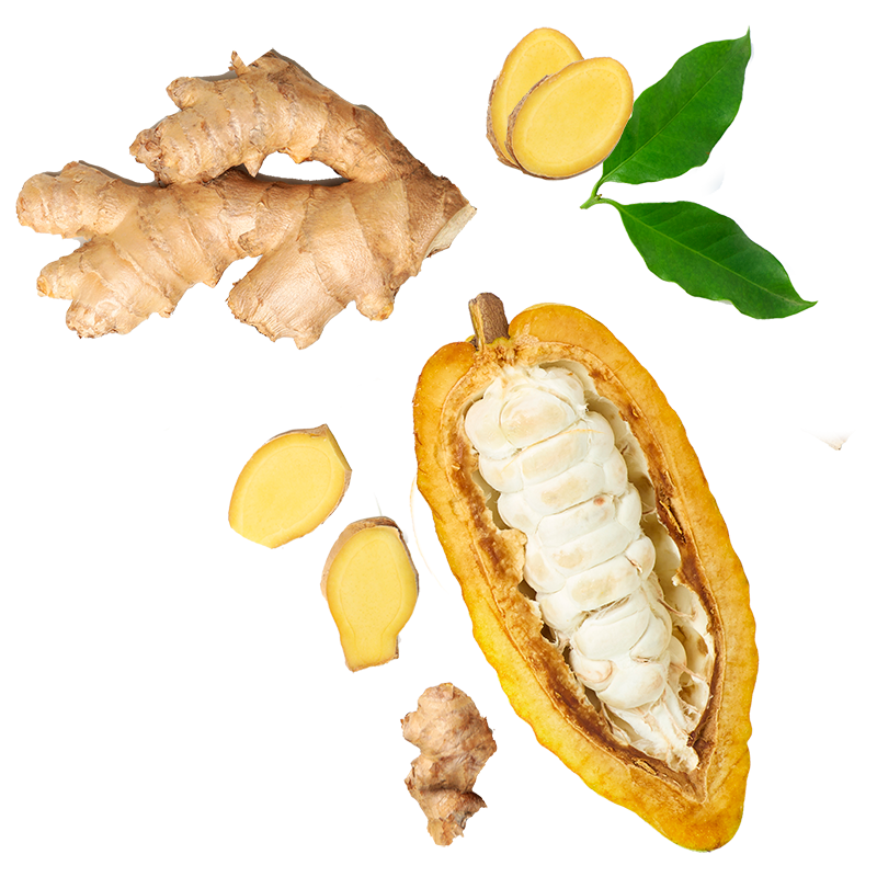 Berlingot Cacao Gingembre de Madagascar