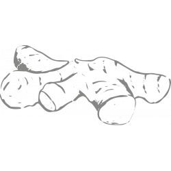 Berlingot Cocoa Ginger of Madagascar