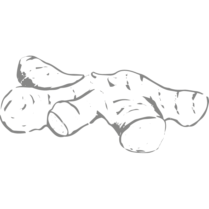 Berlingot Cocoa Ginger of Madagascar