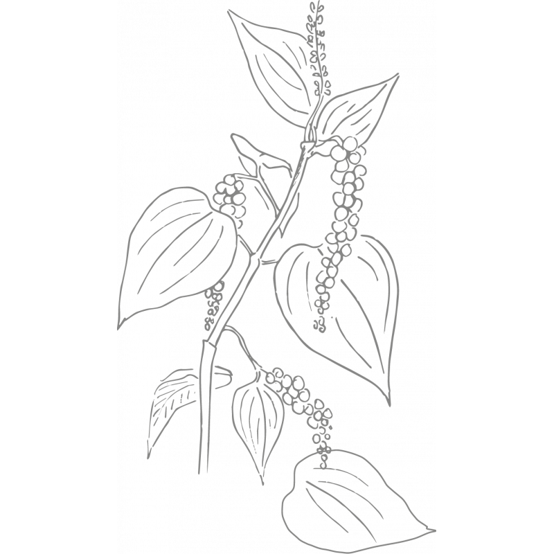 De Buyer Pepper Mill Box + Organic Kampot Black Pepper & PGI