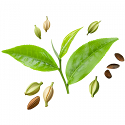 The Fabulous spiced teas