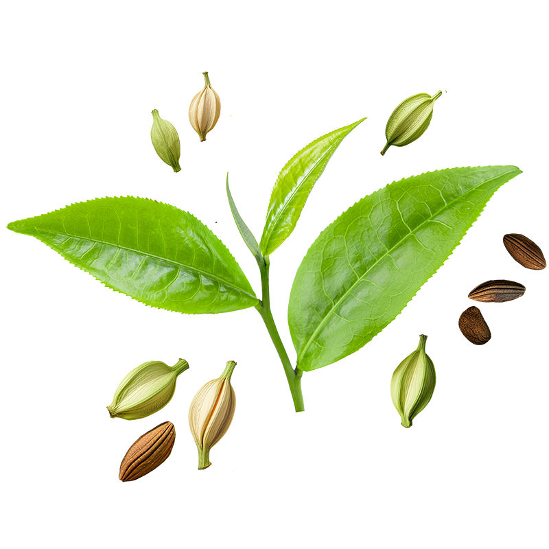 The Fabulous spiced teas