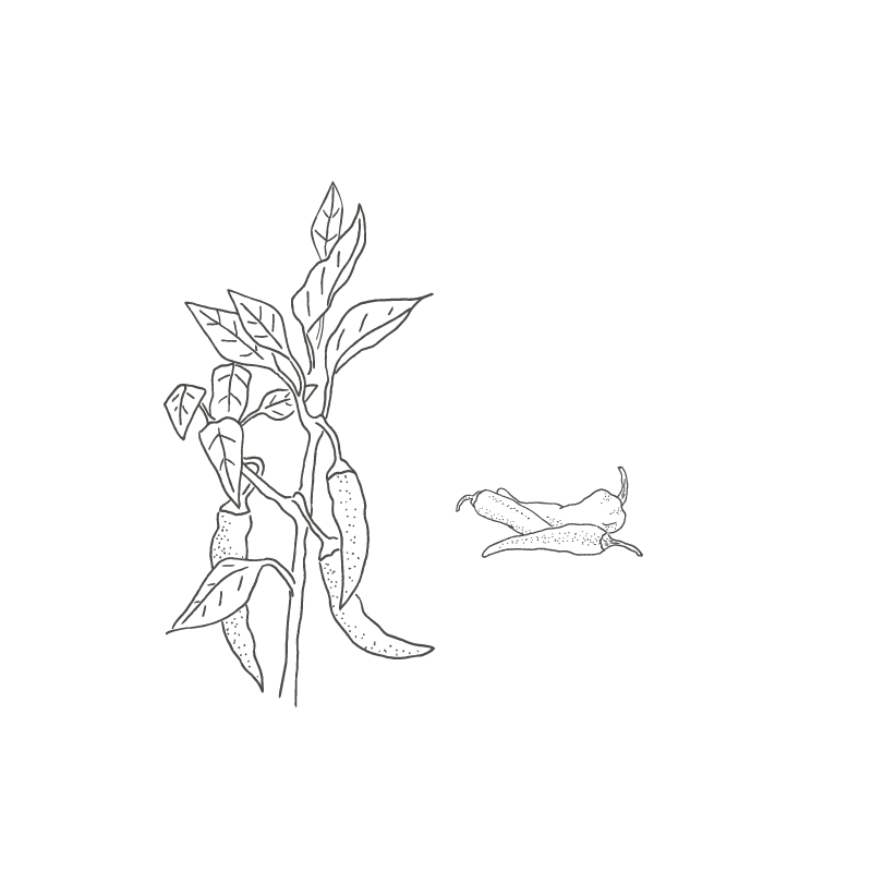 Sweet Paprika from Hungary