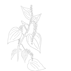 De Buyer Boogie mixt Salt Pepper Mill