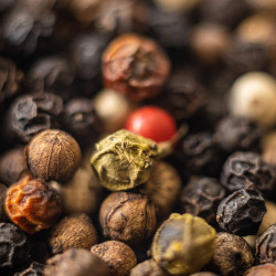Blend of Peppers - Impression