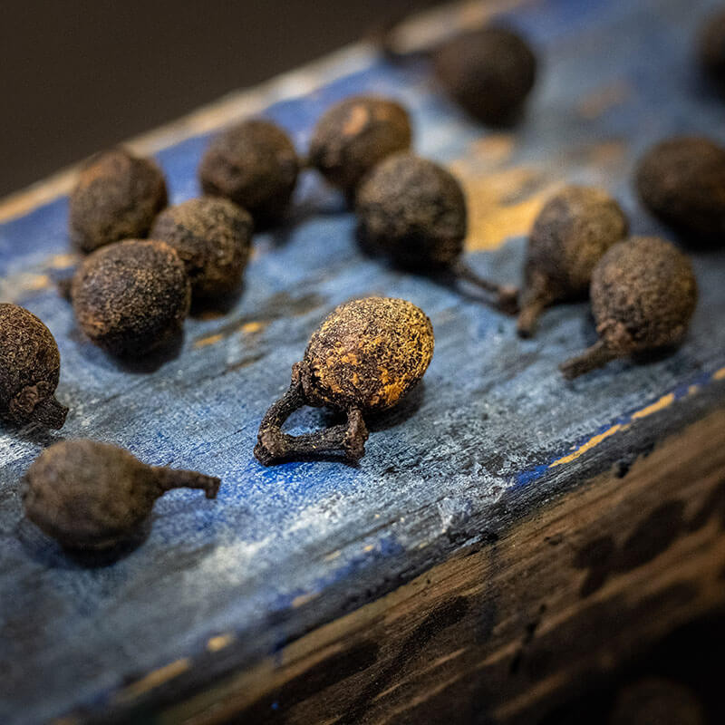 Baie de Siltimur ou Poivre Tchuli