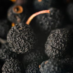 Tasmanian Pepper Berry