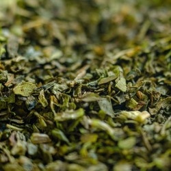 Basilic de Provence