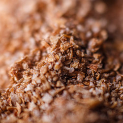 Coriandre Bio de France