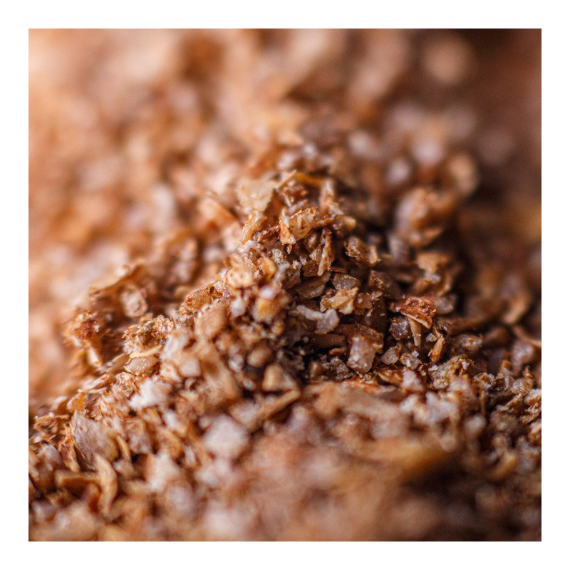 Coriandre Bio de France