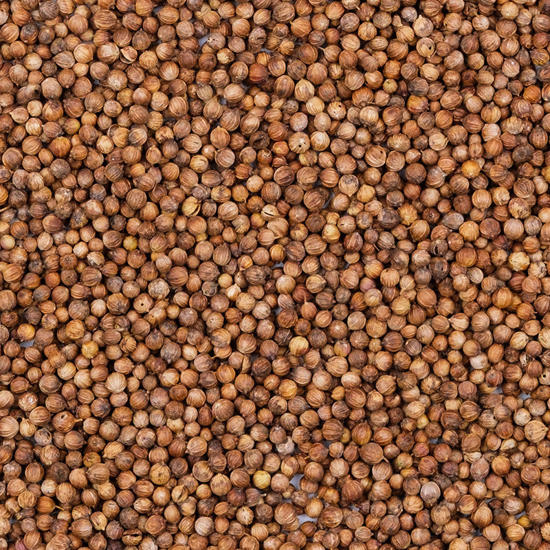 Organic coriander from France