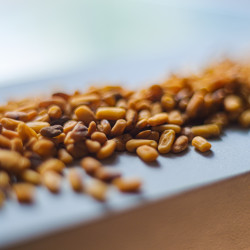 Organic Fenugreek from France