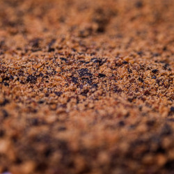 Organic Tonka bean harvested in Guyana