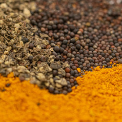 Do-it-yourself mustard kit!