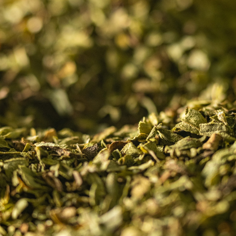Oregano from Provence