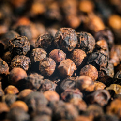 Yupanqui black pepper