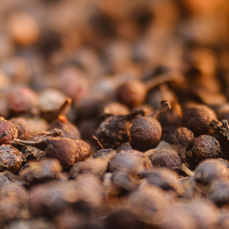 Poivre sauvage de la Likouala