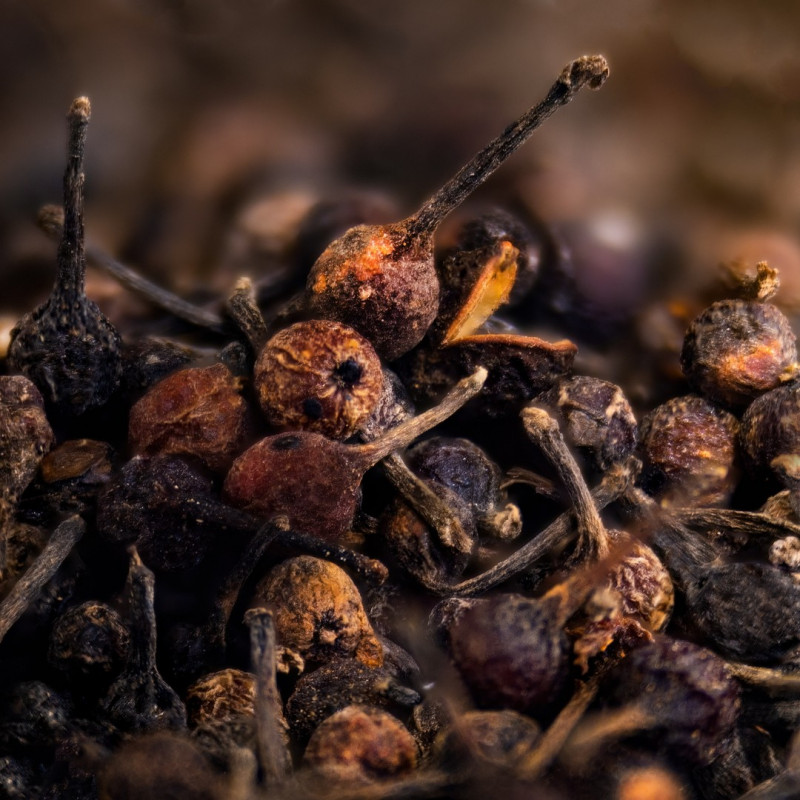 Voatsiperifery wild pepper from Madagascar