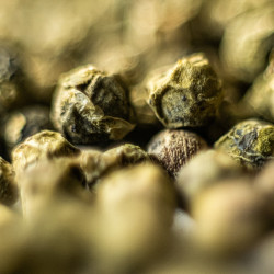 Yupanqui green pepper