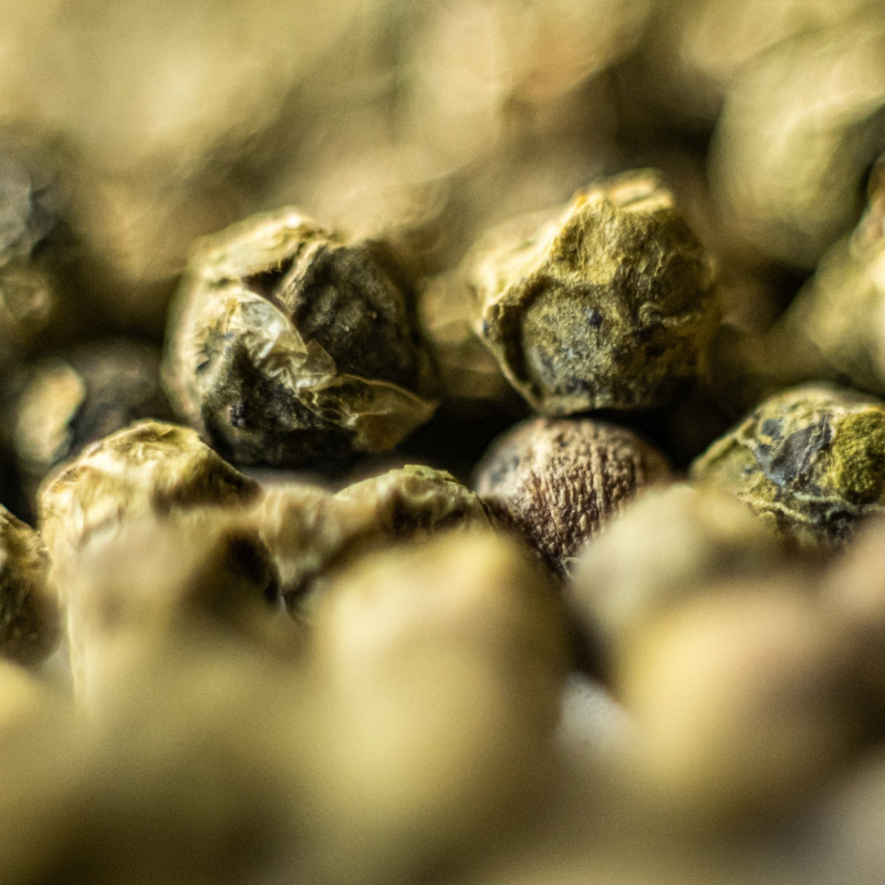 Poivre vert Yupanqui