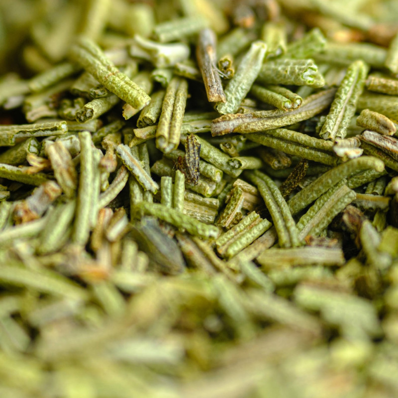 Romarin de Provence Bio