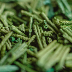 Spiruline de Madagascar, riche en nutriments | Max Daumin