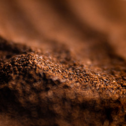 Bourbon Vanilla Powder – Gourmet