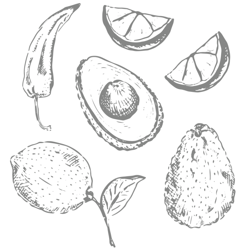 Coffret Assemblage Guacamole