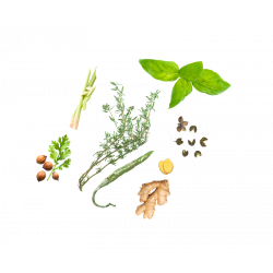 Curry Vert Thaï