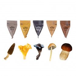 Coffret Assortiment Champignons
