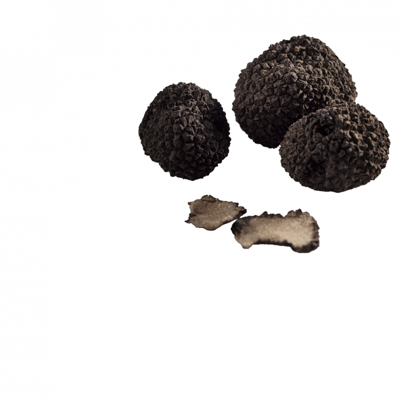 Berlingot Truffe d'été