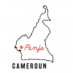 Poivre noir de Penja