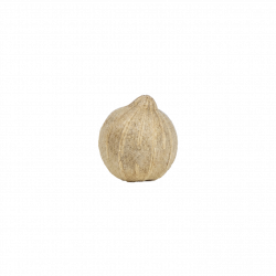Poivre blanc de Penja IGP
