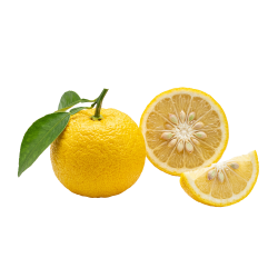 Zeste de Yuzu
