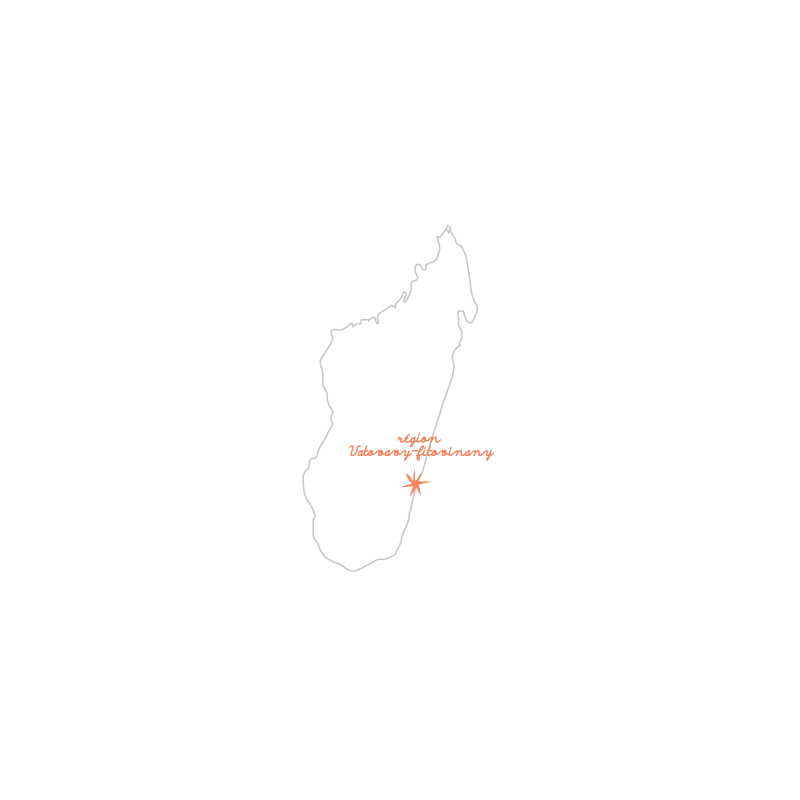 Poivre Noir Bio de Madagascar