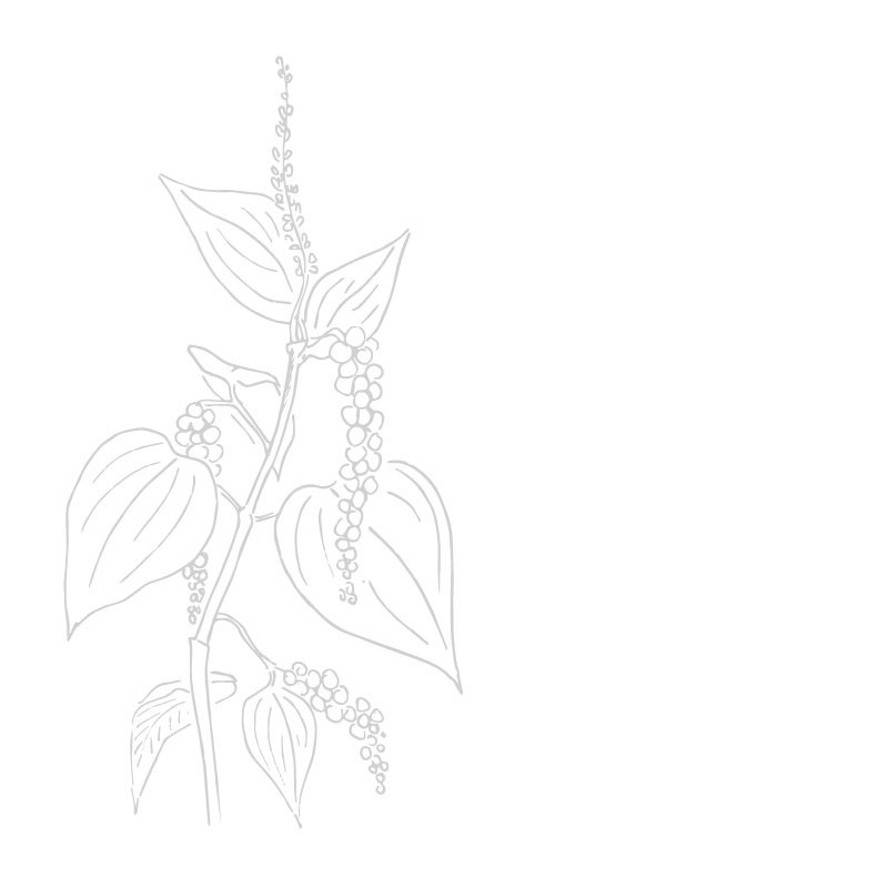 Organic black pepper from Madagascar