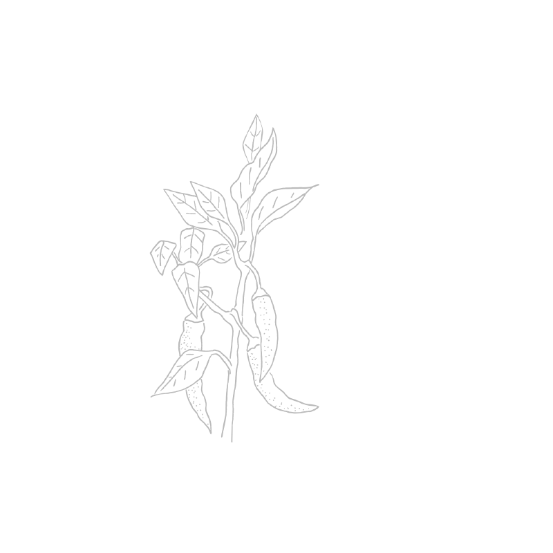 Paprika Doux de Hongrie