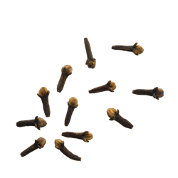 Organic Clove from Madagascar