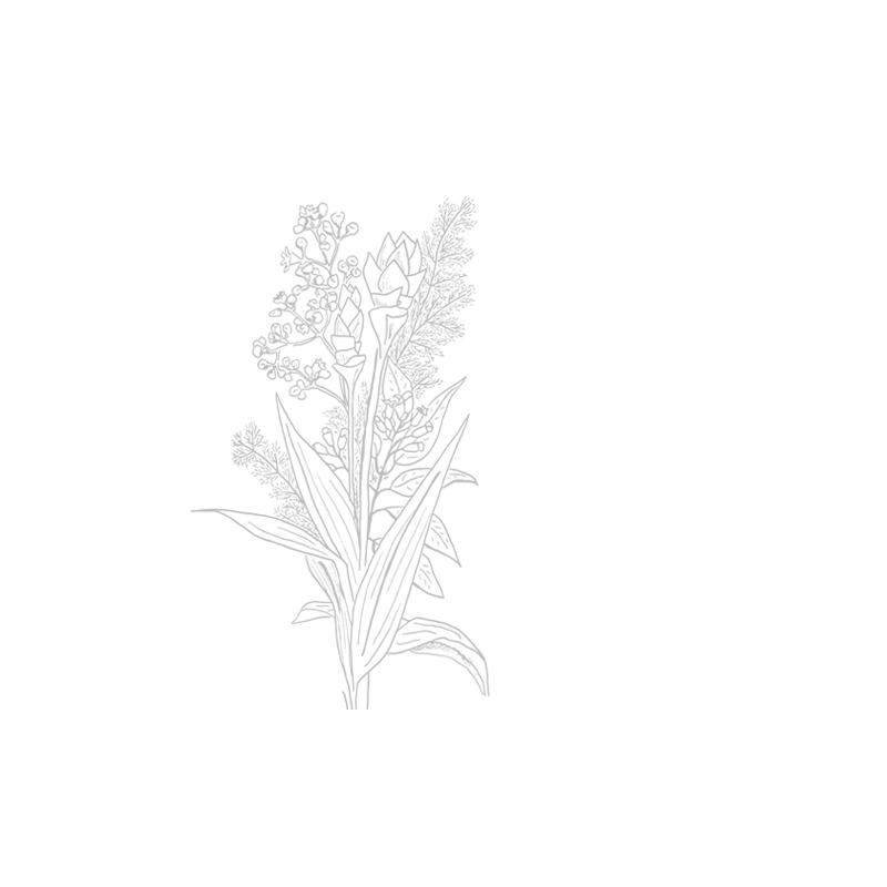 Curry Recette Maison